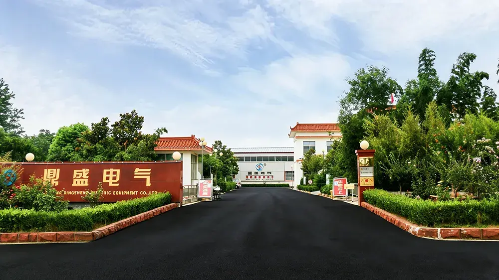 About Shandong Dingsheng